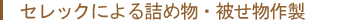 セレックによる詰め物・被せ物作製